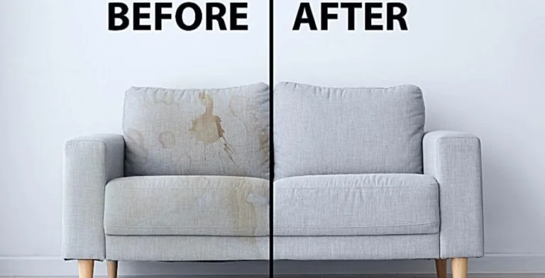 Sofa Cleaning